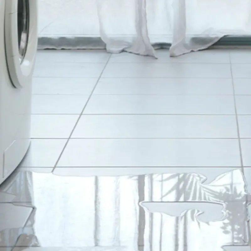 Appliance Leak Cleanup in Gaithersburg, MD